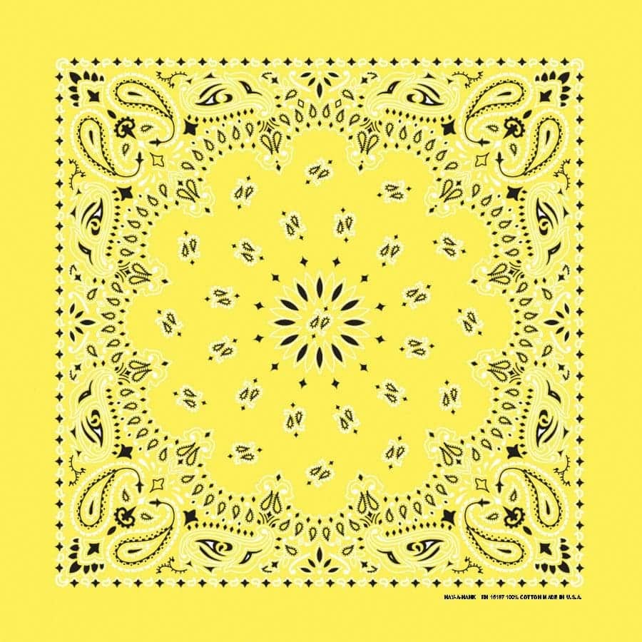 US bandana