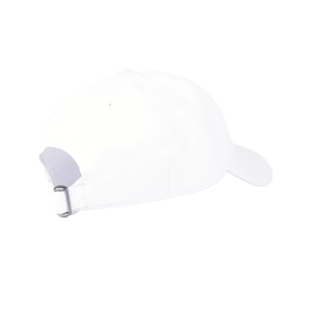 Health is Wealth Hat