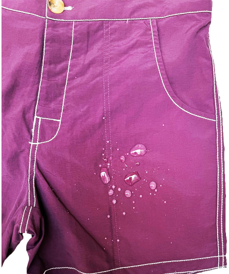 Plum Swim Short