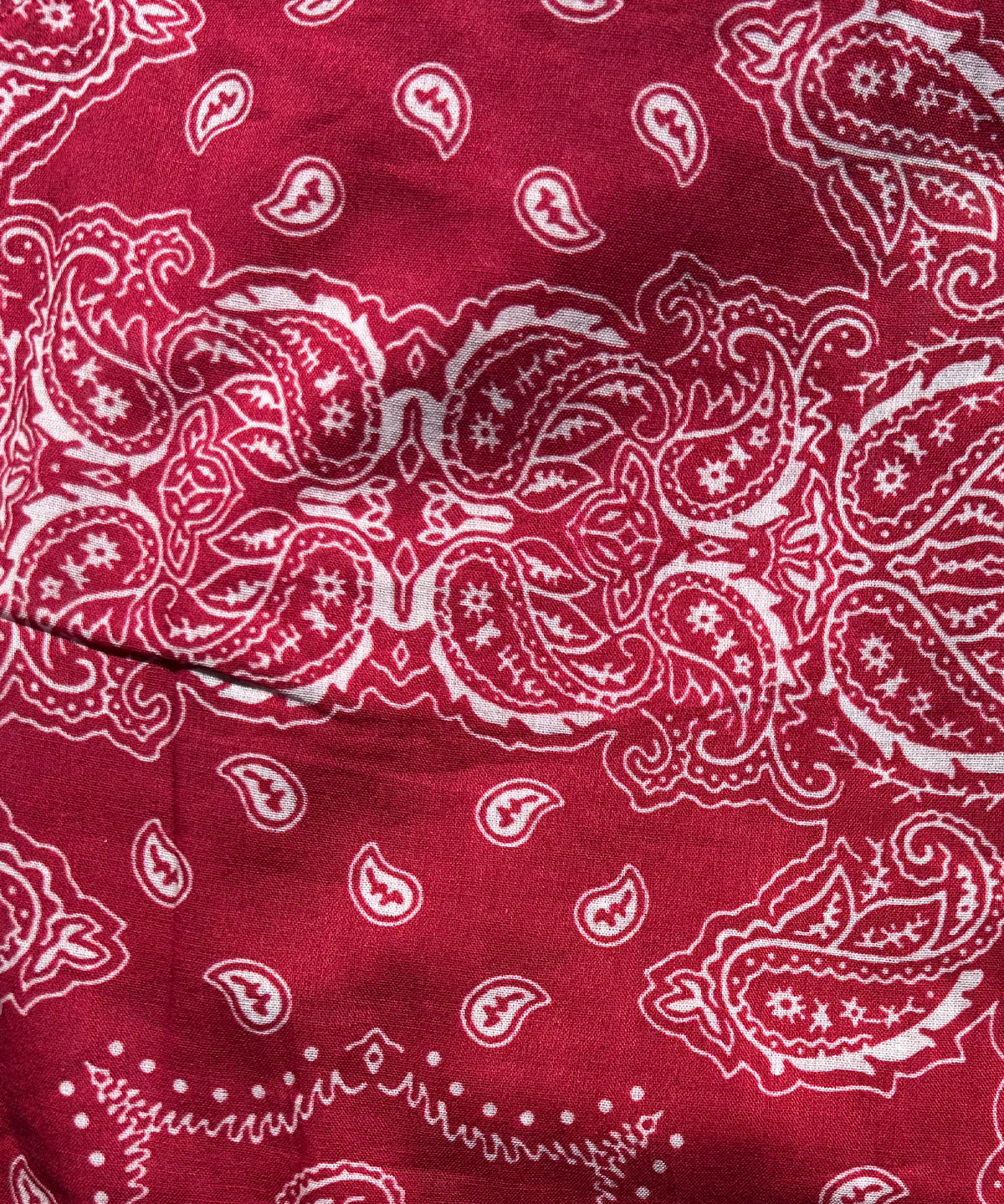 Print Bandana Pants Red