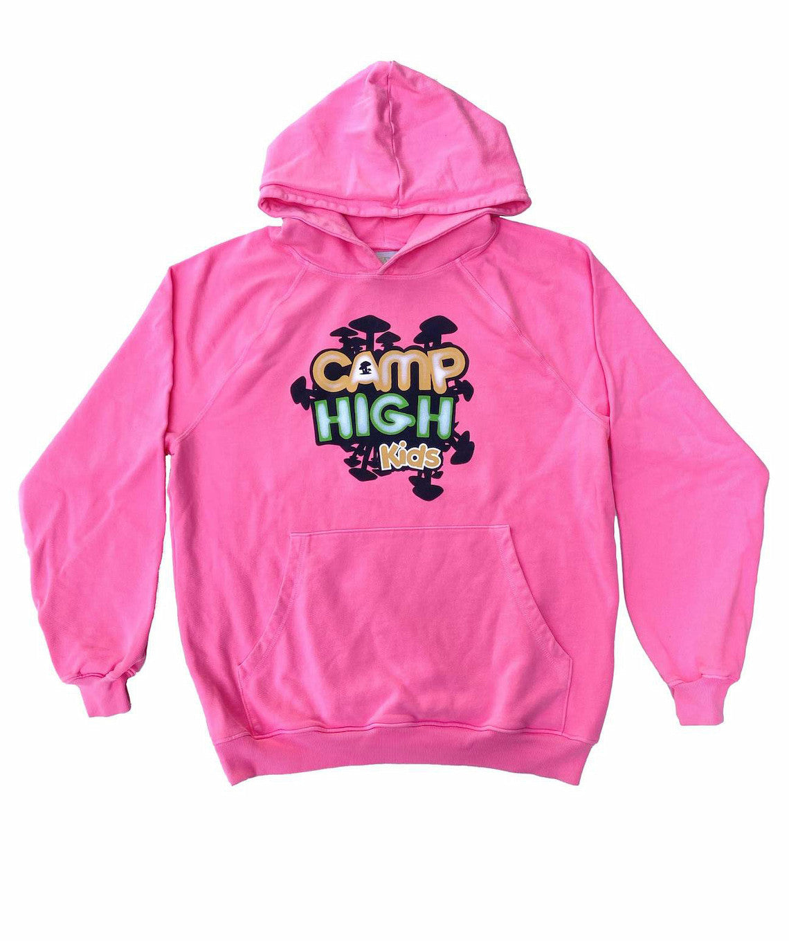 Camp High Pink Hoody