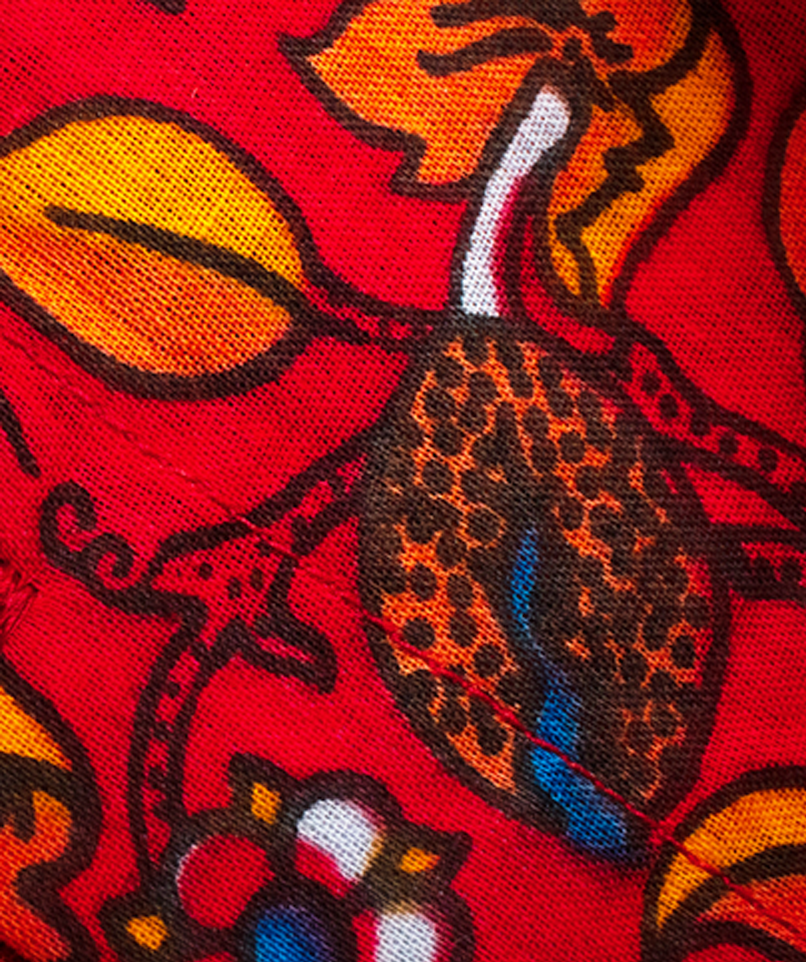 Flower Power Red Pants